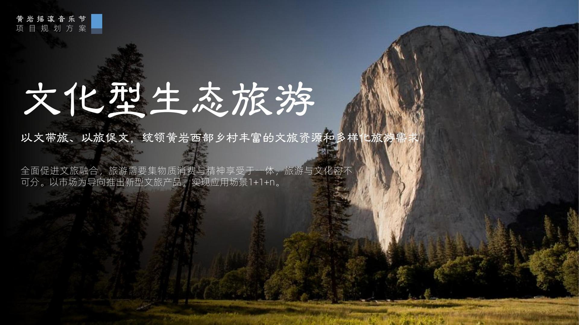 金成传媒承办青年文化发展专题论坛